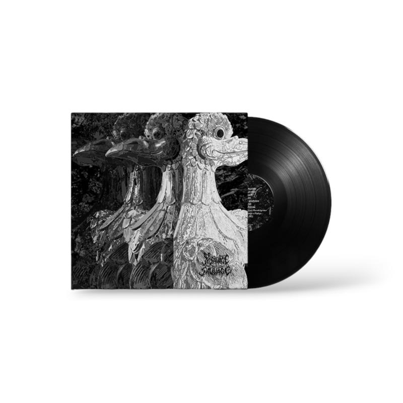 Micorriza – KTPV003